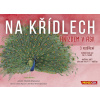 Mindok Na křídlech: Hnízdem v Asii