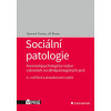 Sociální patologie - Forenzněpsychologický rozbor vybraných sociálněpatologických jevů - Fischer Slavomil, Škoda Jiří