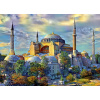 BlueBird Hagia Sophia Istanbul Turkey 1000 dielov