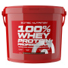Scitec Nutrition 100% Whey Protein Professional Chocolate Coconut 5000 g