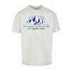 SENSE WINTER SPORTS T-Shirt - lightgrey XL