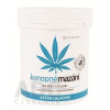MedicProgress konopné mazanie Extra chladivé 250 ml
