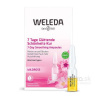 Weleda Skin Care ružový pleťový olej v ampulkách 7-dňová vyhladzujúca kúra ruža 7 x 0,8 ml