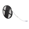 Kanlux neon led12w/m ww Neonová hadica 37234