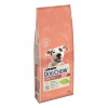 Purina Dog Chow Adult Sensitive Salmon & Rise 14 kg