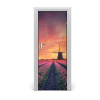 Fototapeta samolepiace dvere poľa tulipánov 75x205