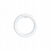 NBB LC 22W T9/827 G10q 116113000