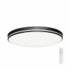 AREAS 40 | IMMAX NEO | smart LED stropné svietidlo | 07150-C40 Farba: Čierna