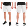 Puma teamRISE