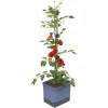 Gusta Garden GG-104610
