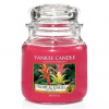 Yankee Candle Tropical Jungle 411 g