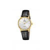Hodinky FESTINA 20017/1