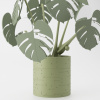 Monstera Magnetica – 3D Tlačená Dekorácia & Podložky pod Poháre Farba listov: zelená, Vyber typ kvetináča: Classic, Vyber farbu kvetináča: oliva