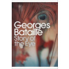 Story of the Eye