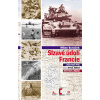 Slzavé údolí Francie (Dien Bien Phu – bitva, která rozhodla válku) - Milan Syruček