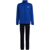 adidas Essentials Big Logo Track Suit Jr HR6408 (192023) Black 140cm