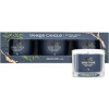 Yankee Candle BAYSIDE CEDAR - 3 balenia sviečok v nádobe