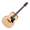 Ibanez AAD50-LG akustická gitara