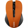 Canyon CNE-CMSW1O