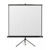 Reflecta TRIPOD Crystal 240x240cm 1:1 131