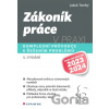 Zákoník práce v praxi - Komplexní průvodce s řešením problémů