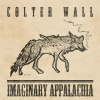 IMAGINARY APPALACHIA COLTER WALL Vinyl