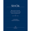 Škola sláčikovej techniky op. 2, zošit 3 - Otakar Ševčík