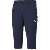 Puma teamLiga Training 3/4 Pants M 657271 06 (180402) Black/Green L