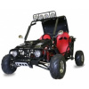 Bugina 125cc Automat Shineray