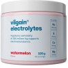 Vilgain Elektrolyty melón 320 g