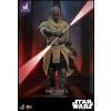 Star Wars akční figurka Darth Maul Concept Art Hot Toys Exclusive