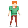 Kostým Minecraft Alex