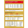 Czeska gramatyka w pigulce - Lída Holá