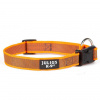 Obojok Julius K9 Color & Grey 2,5cm - odolný obojok pre psa - oranžový
