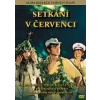 Setkání v červenci - DVD slim/plast