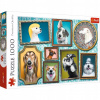 Trefl Happy dogs Dog gallery 1000 dielov