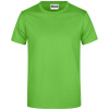 James & Nicholson Tričko JN 790, krátký rukáv, pánské COT02079004205-lime green 2XL Zelená lime