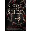 A God in the Shed - J. F. Dubeau