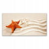 Foto -camera akryl 140x70 Sand Starfish Beach (Foto -camera akryl 140x70 Sand Starfish Beach)