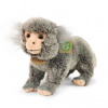 Eco-Friendly Rappa Kosman 25 cm