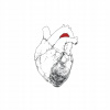 Swans: Beggar CD