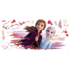 Mrazené 2 nálepky na ľadovú krajinu na stene Elsa Anna (Mrazené 2 nálepky na ľadovú krajinu na stene Elsa Anna)