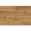 Arbiton AMARON WOOD CA 147 Dub GEORGETOWN AR1500154