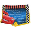 SUN CITY Chlapecké plavky Disney Cars Lightning McQueen vel. 8 let