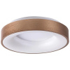 Rabalux 5052 – LED Stropné svietidlo CARMELA/30 W/230 V