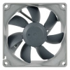 Ventilátor Noctua 80 x 80 mm NF-R8 REDUX-1200 (NF-R8 redux-1200)