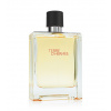 Hermes Terre d'Hermes EDT 100 ml pre mužov TESTER
