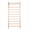 LADDER GYMNASTIC 225x80 DOMÁCI VÝCVIK (LADDER GYMNASTIC 225x80 DOMÁCI VÝCVIK)