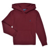 Polo Ralph Lauren Mikiny LS PO HOOD-TOPS-KNIT Bordová