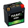 Fulbat Fulbat FLTK01